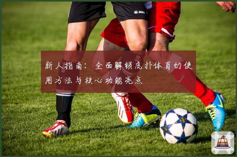 新人指南：全面解锁虎扑体育的使用方法与核心功能亮点